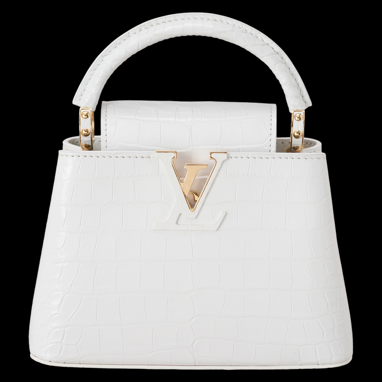 LOUIS VUITTON(USED)루이비통 이그조틱 와니 카퓌신 미니